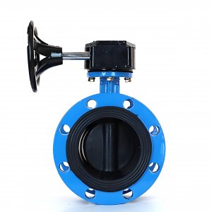 法蘭式蝸輪蝸桿蝶閥DN125，1.6Mpa橡膠密封